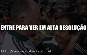 felipao,muricy, palmeiras,fluminense,brasil