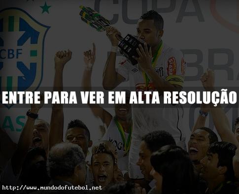 Santos, campeão da Copa do Brasil 2010