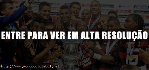 Flamengo, comemoração, Taça Guanabara, campeão