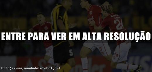 Internacional,comemoração,Libertadores