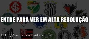 internacional, santos, cruzeiro, flamengo, coritiba, brasiliense, ceará, bahia, feira, campeão, pôster, estadual, 2011