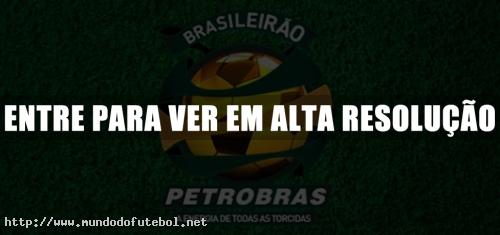 Brasileirão Petrobras 2011,logo