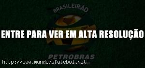 Brasileirão Petrobras 2011,logo