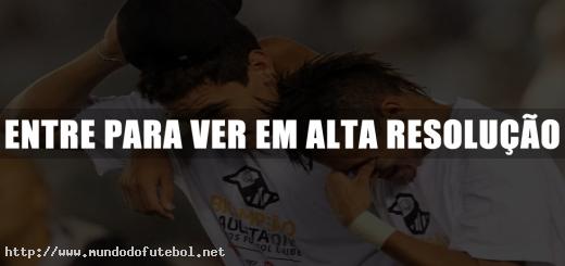 santos campeão 2011