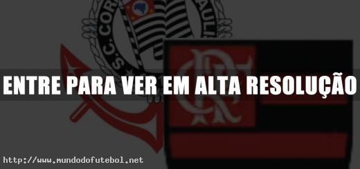 Brasileirão, Petkovic, Flamengo, Corinthians