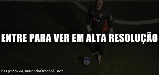 Rogério Ceni, Rogério Ceni 100 gols, Rogério Ceni gols