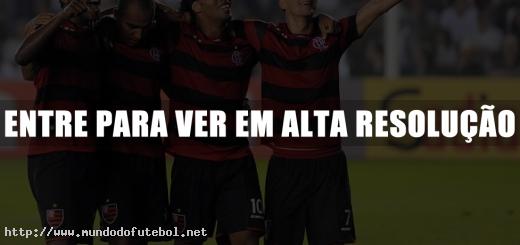 flamengo, santos, gols, brasileirao