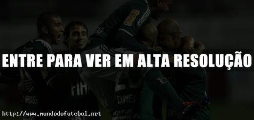 Palmeiras, comemoração, Brasileirão