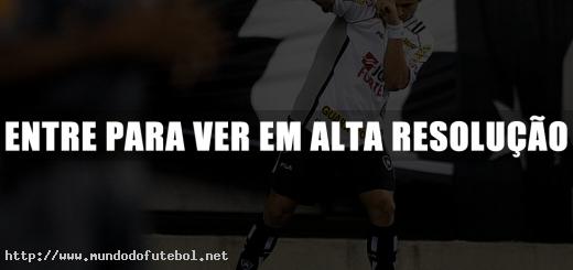 elkeson, comemoração, botafogo