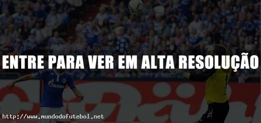 golaço,Raul,schalke,alemao