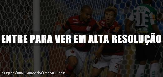 Deivid, comemoração, Flamengo