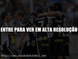 botafogo,comemoração,