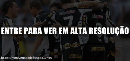 botafogo,comemoração,