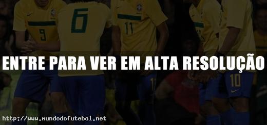 Jogadores do Brasil fazem comemoração ensaida após o gol de Leandro Damião. (Créditos Imagem: globo.com)