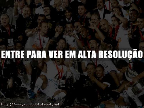 Santos, campeão, taça, libertadores.