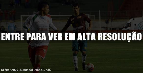 Portuguesa fica bem perto da elite do Campeonato Brasileiro