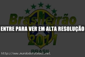 Campeonato Brasileiro 2011