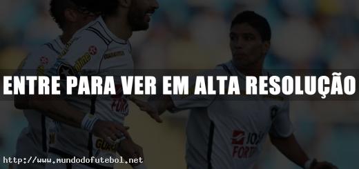 Loco Abreu, comemoração, Botafogo