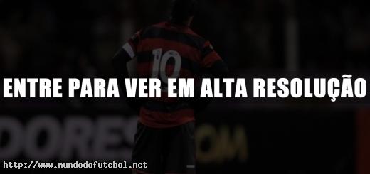 Ronaldinho Gaúcho, Flamengo, Libertadores