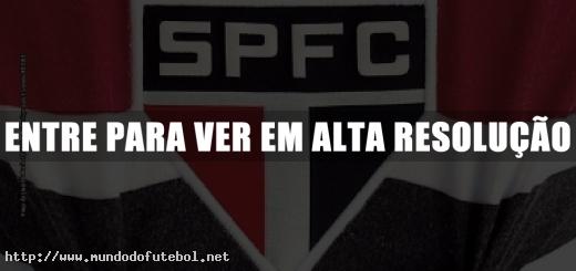 São Paulo Histórico, Álbum Oficial