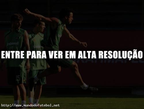 Fred, Fluminense