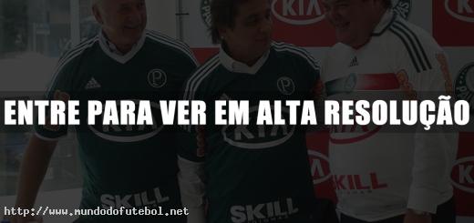 Kia Motors, Camisa do Palmeiras