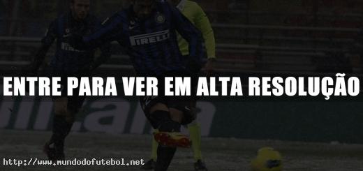 Milito, Internazionale, Gol