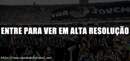 poster botafogo campeao taca rio 2012