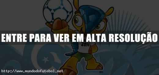 Tatu-Bola, Mascote, Copa do Mundo FIFA Brasil 2014