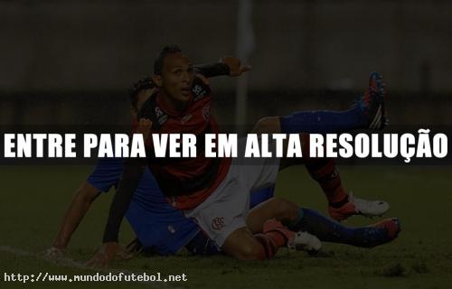 Liédson reclama do gol (mal) anulado contra o Cruzeiro (Site oficial do Flamengo: wwww.flamengo.com.br)