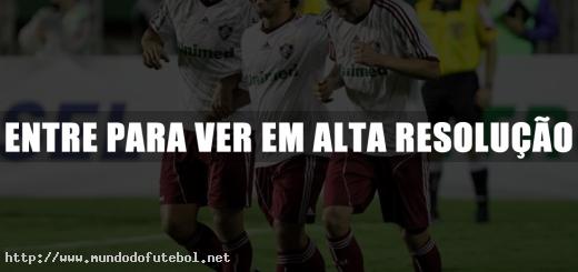 Fluminense, Brasileirão, comemoração