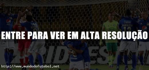 Millonarios, comemoração, Copa Bridgestone Sudamericana, Palmeiras