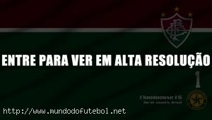 fluminense campeão brasileiro 2012 wallpaper