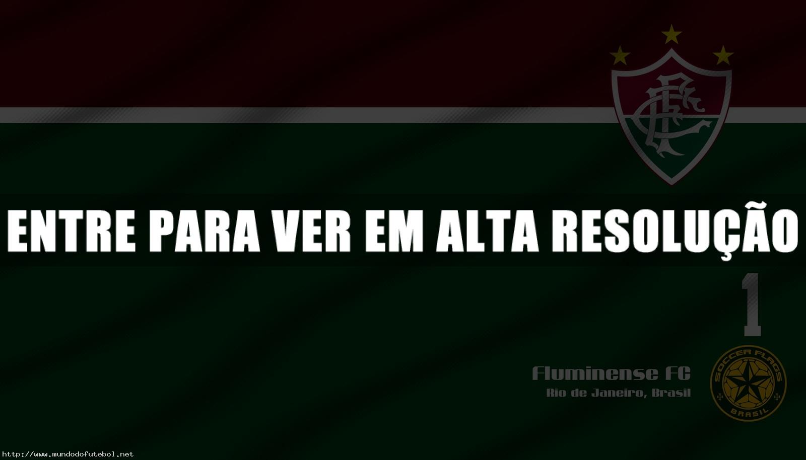 fluminense campeão brasileiro 2012 wallpaper