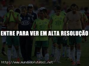 Palmeiras, Rebaixado, jogadores