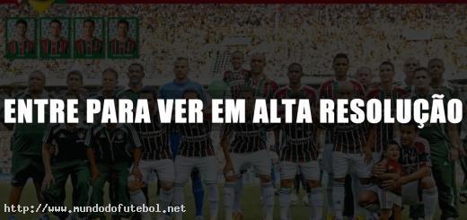 poster fluminense campeao brasileiro 2012