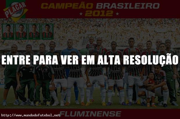 poster fluminense campeao brasileiro 2012