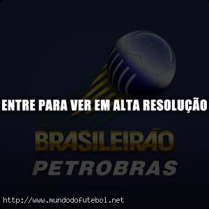 Brasileirão Petrobras, logo