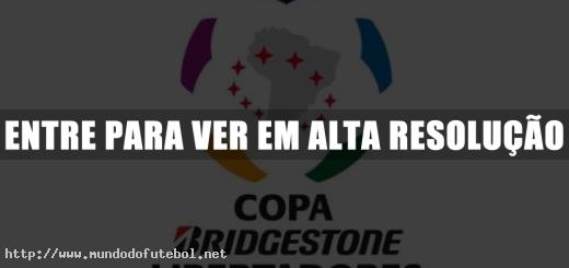 Logo, Copa Bridgestone Libertadores 2013