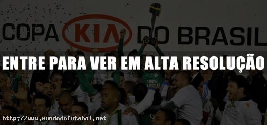 Palmeiras, campeão, Copa do brasil