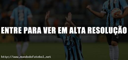 Elano, comemoração, Grêmio, Libertadores