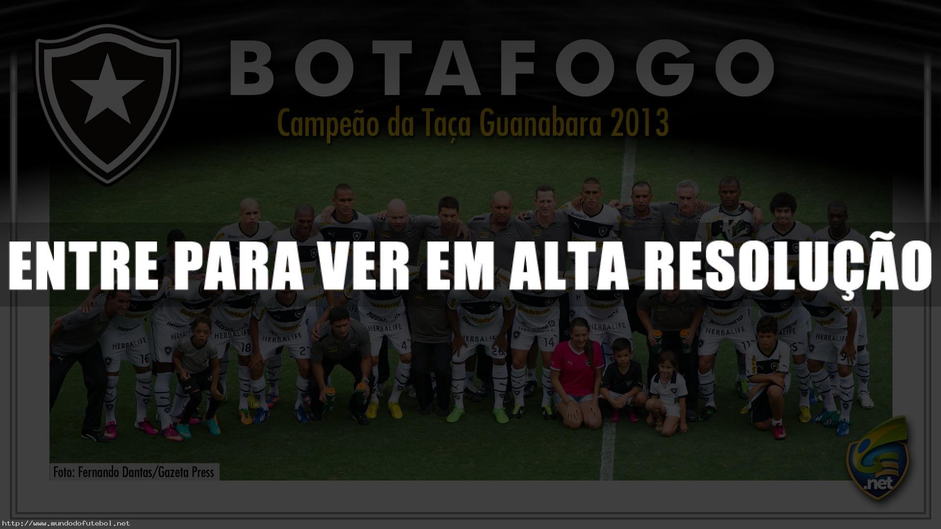 pôster botafogo campeão da taça guanabara 2013