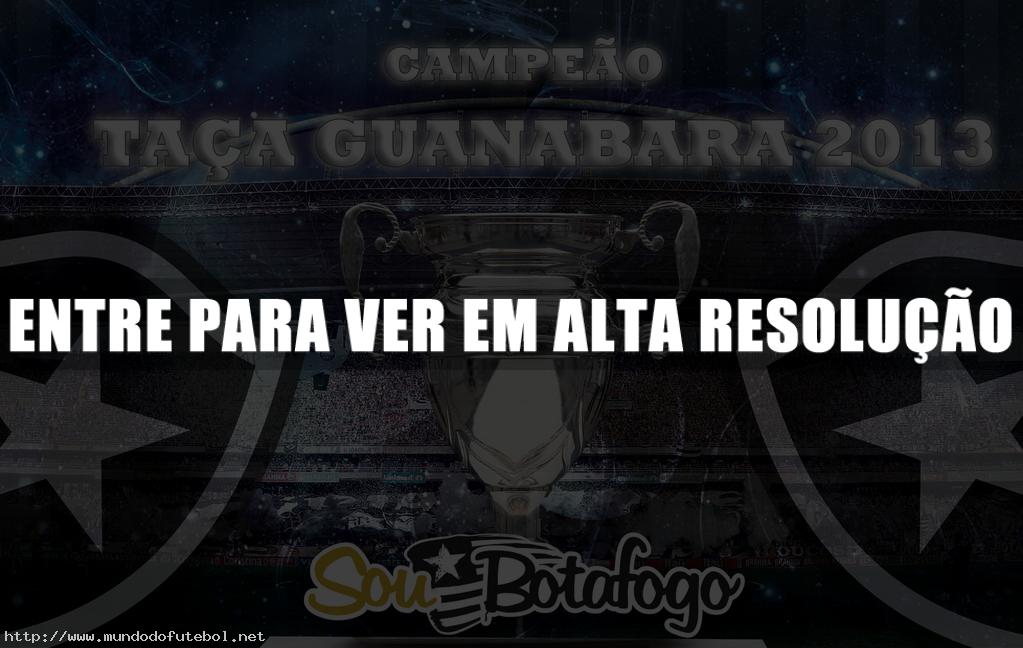 pôster botafogo campeão da taça guanabara 2013