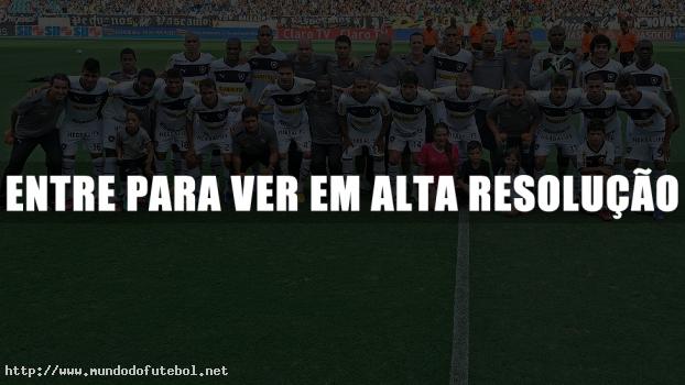 pôster botafogo campeão da taça guanabara 2013